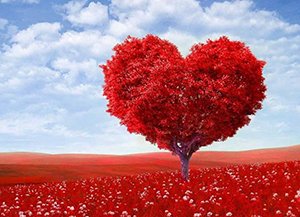 ፍቅሪ - Habeshaa ሓበሻ habesha